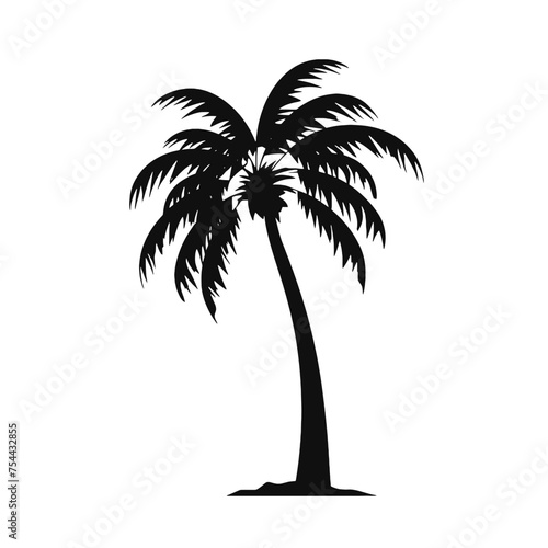 palm trees Silhouette 