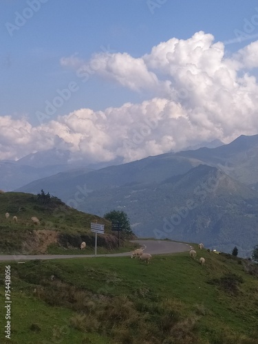 Scenic Mountain Drive: Curvy Road in the Pyrenees with Sheep Grazing Alongside, Beneath a Blue Sky and Fluffy White Clouds