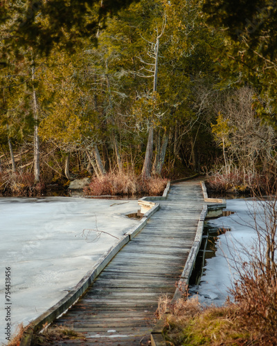 Boardwalk and an icy pond at Indian Carry Fishing Access Site, in the Adirondack Mountains near Tupper Lake, New York