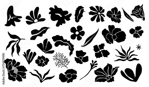 Set of black silhouettes of abstract leaves and flowers. Wild and garden flowers. Vector Black outline illustrations isolated on transparent background.