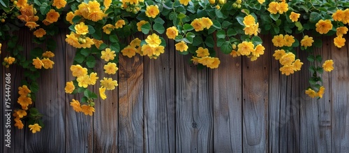 A wooden fence covered in vibrant yellow flowers.