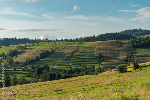 Wallpaper Mural summer landscape in the mountains Torontodigital.ca