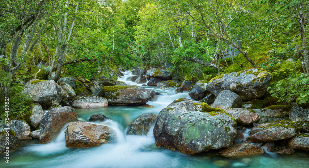 Fluss Renndola, Innerdalen, More og Romsdal, Norwegen Fluss Renndola, Innerdalen, More og Romsdal, Norwegen