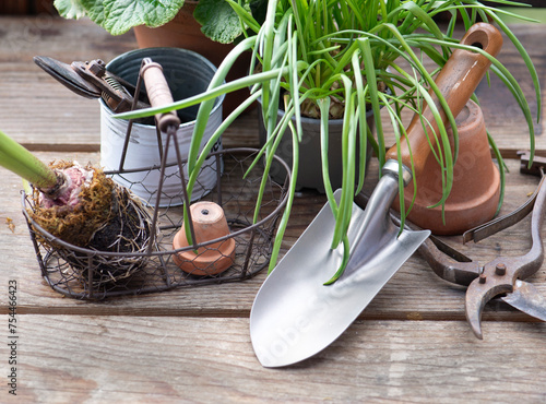 garden tools with a little shovel on a wooden table among  flowerpot and plant