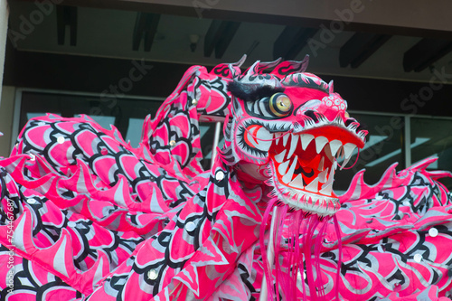 Chinese NEW Year Dragon dance