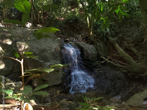 small waterfall in the middle of nature