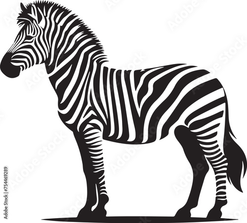 silhouette of zebra illustration photo