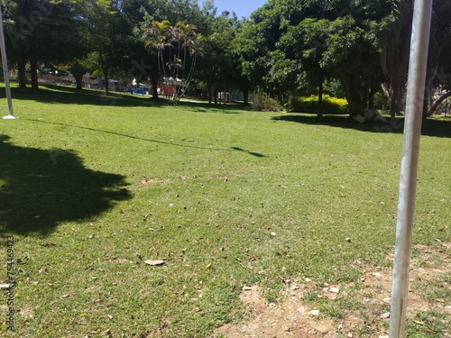 park with trees