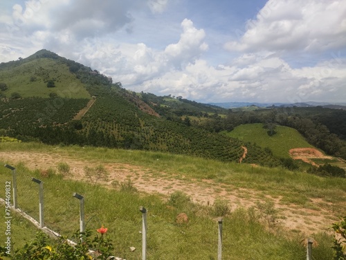 hill with trees in brazil