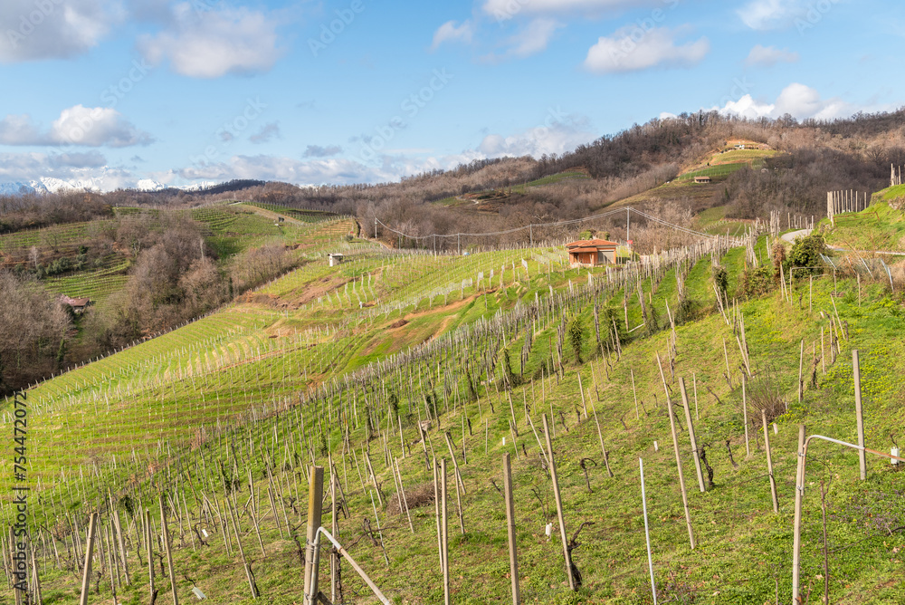 Landscape of vineyard hills of Gattinara in the province of Vercelli, Piedmont, Italy