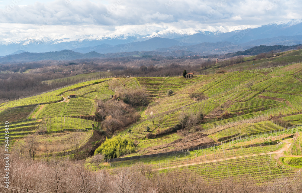 Landscape of vineyard hills of Gattinara with Monte Rosa chain covered snow in background, province of Vercelli, Piedmont, Italy
