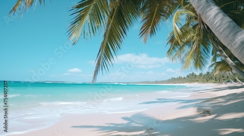 A beautiful sandy beach with palm trees and crystal blue water. Perfect for travel and vacation concepts