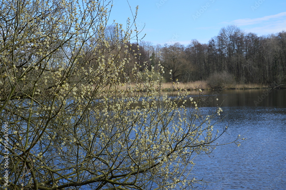 Obraz premium der See im Frühjahr