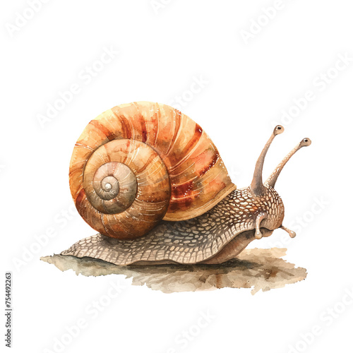 cute snail vector illustration in watercolour style