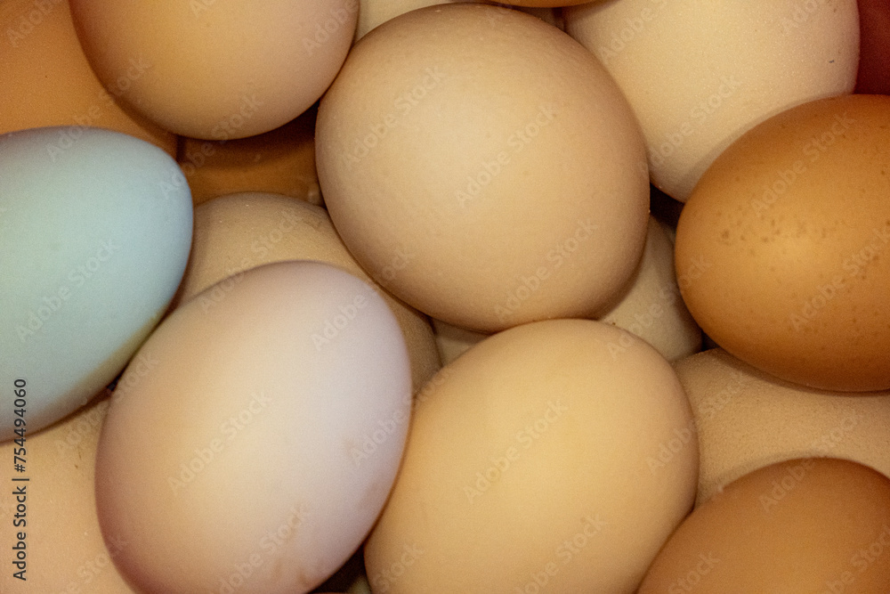 Abundance of Freshly Laid Organic Chicken Eggs. Natural Farm-Fresh Hen's Eggs in Bulk. Easter Egg Harvest: Plenty of Organic Eggs. Abundance of Freshly Laid Organic Chicken Eggs. Natural Farm-Fresh Hen's Eggs in Bulk. Easter Egg Harvest: Plenty of Organic Eggs.