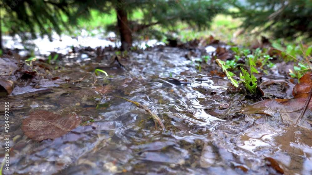 A flowing stream of water heading to the lake through a small forest after the snow melts in early spring A flowing stream of water heading to the lake through a small forest after the snow melts in early spring