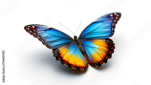 A stunning, isolated beautiful butterfly on a white background, crafted with precision using Generative AI technology.