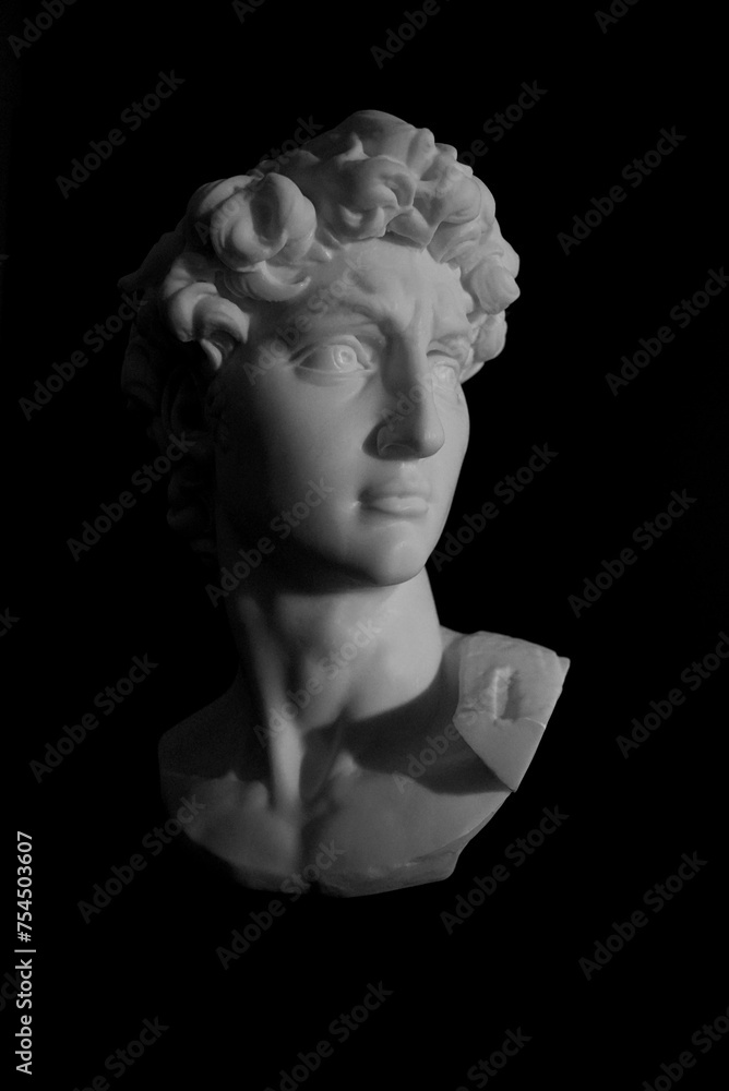 Michelangelo's David Sculpture Head Michelangelo's David Sculpture Head