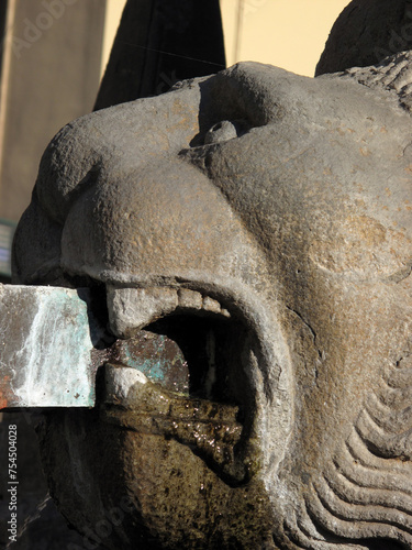Fountain dei leoni - Piazza di Erbe - Viterbo -Tuscia - Italy photo