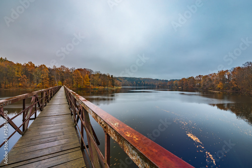 Beautiful view to long steel and wood bridge over big and silent lake with autumn golden trees and bushes around at cloudy and rainy morning (ID: 754506658)