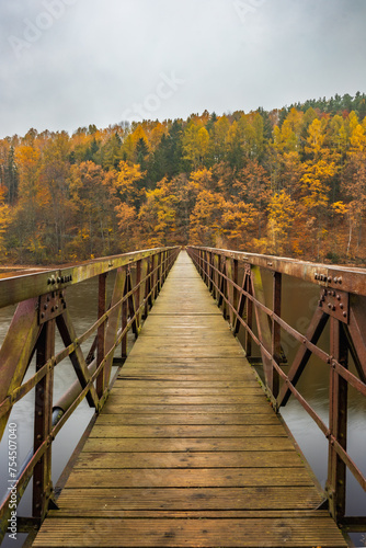 Beautiful view to long steel and wood bridge over big and silent lake with autumn golden trees and bushes around at cloudy and rainy morning (ID: 754507040)