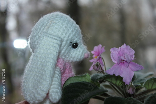 handmade accessory  knitted toys