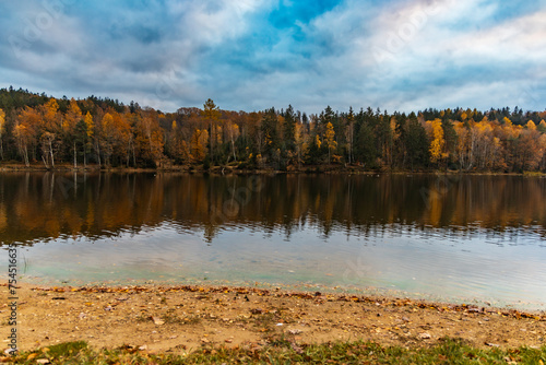 Beautiful view to the coast of big lake with beautiful high green and golden trees at fall reflecting in water (ID: 754516635)