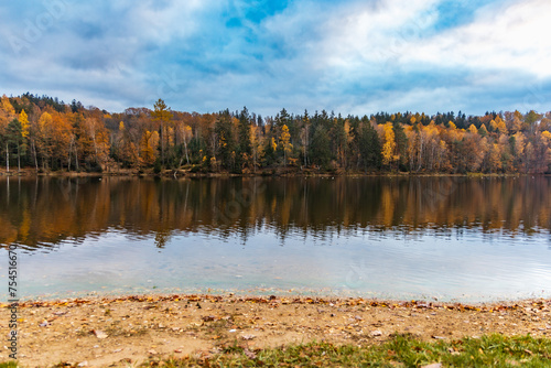 Beautiful view to the coast of big lake with beautiful high green and golden trees at fall reflecting in water photo