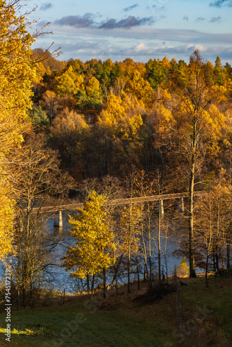 Beautiful mountain landscape full of golden and green trees at fall and long steel and wood bridge at the center of big lake at down of the hill (ID: 754517239)