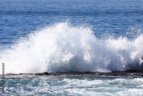 Crashing tidal wave in the sea