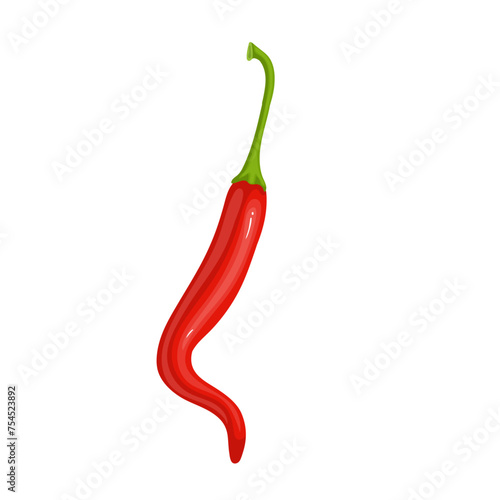 Pod of hot, burning chili pepper. Ripe vegetables. Vector graphics