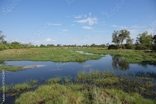 Landscape in the Okavango Delta on Safari © Bahia
