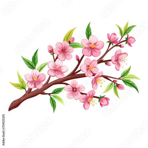 cherry blossom flowers spring branch with green leaves on white