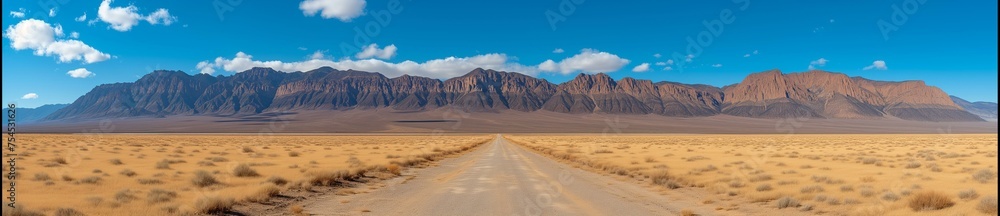 Desert Road with Mountain Panorama