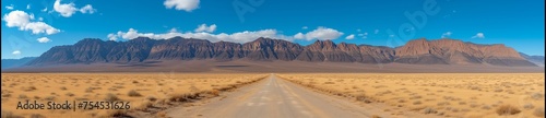 Desert Road with Mountain Panorama