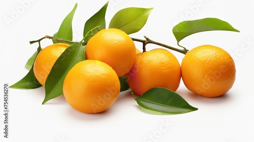Fresh Orange Fruits with Branch and Leaves Isolated