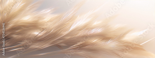 Close-up of beige wheat field in soft pastel colors  3D rendering.