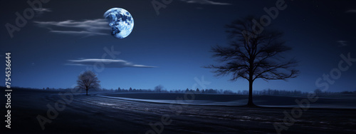 Night landscape with a large moon, dark trees, and a field in the foreground.