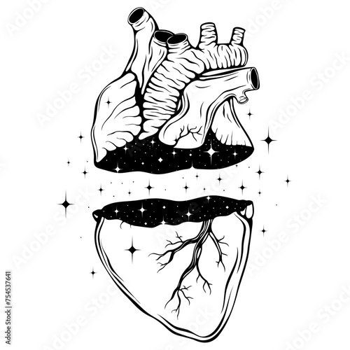 Realistic human heart with stars in space line art vector. Heart disease, health issues, heart attack, love, romantic, wedding concept