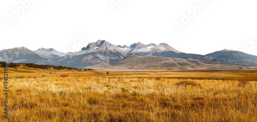 Autumn prairie with mountain range backdrop under a clear sky, cut out - stock png.