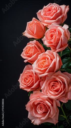 Striking peach roses on a dark background  ideal for dramatic floral compositions  luxury event themes  and romantic ambiance creation