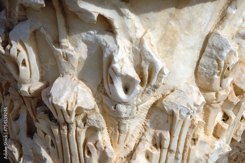 Part of the ancient column in Baths of Antoninus in Carthage Archeological Site in suburbs of Tunis city, Tunisia photo