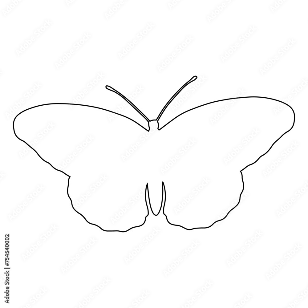 Outline of a butterfly insect. Vector graphics. Outline of a butterfly insect. Vector graphics.