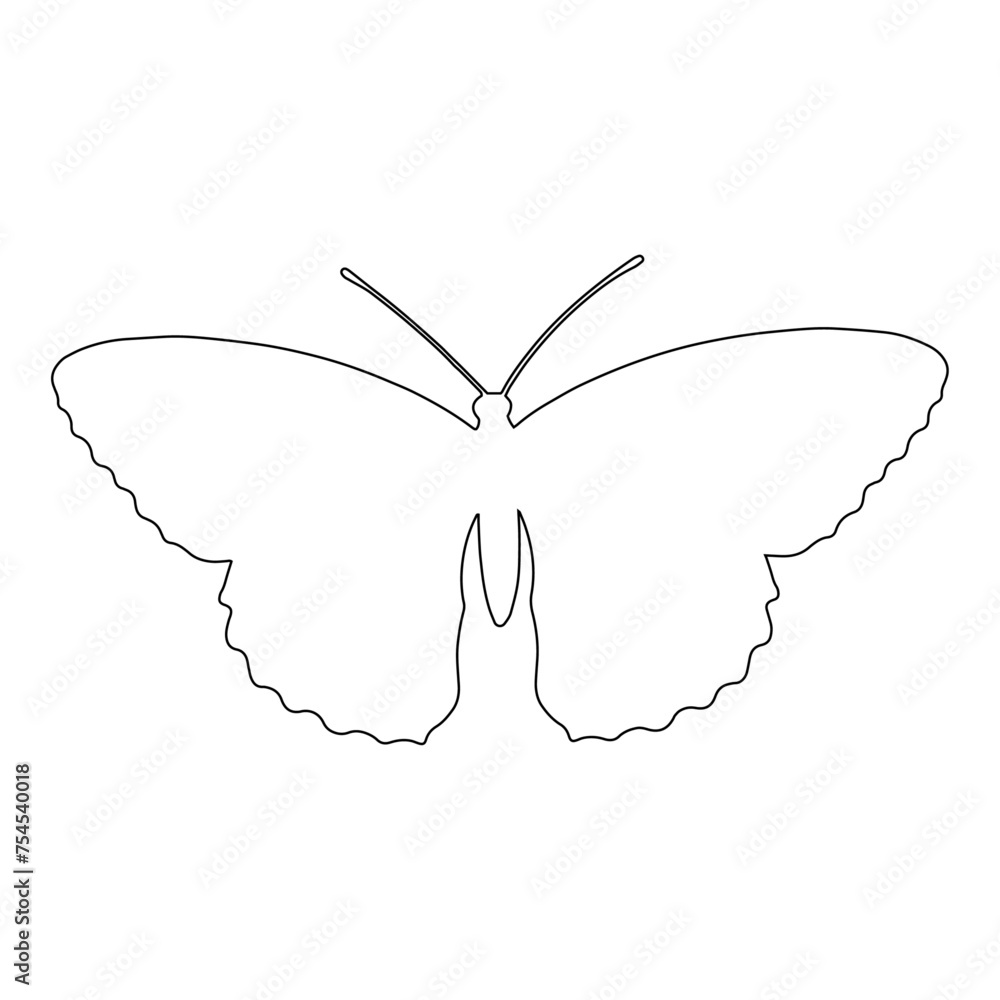 Outline of a butterfly insect. Vector graphics. Outline of a butterfly insect. Vector graphics.