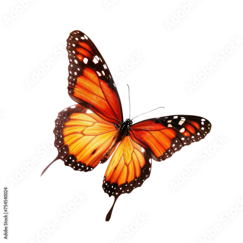 Colorful flying butterfly in transparent background © PNG Lab