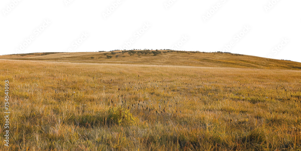 Expansive prairie with distant mountain range and golden grass, cut out - stock png.