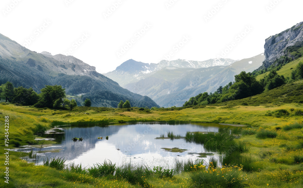Tranquil mountain lake surrounded by wildflowers and lush greenery on transparent background - stock png.