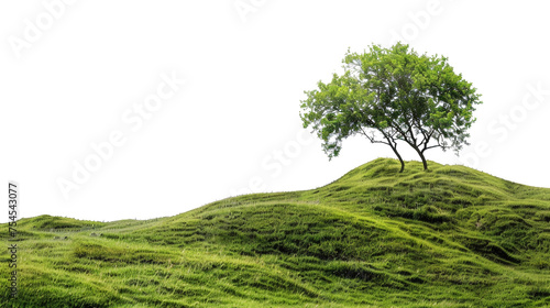 Serene rolling green hills with lush trees in a peaceful landscape  cut out - stock png.