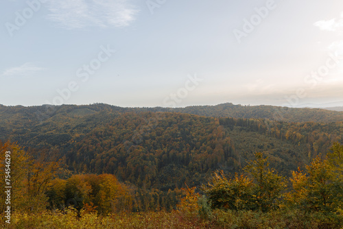 A scenic view of a valley with trees, mountains, and sky