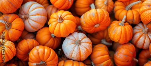 Several small pumpkins are stacked neatly next to each other in a pile  showcasing the variety of shapes and sizes.